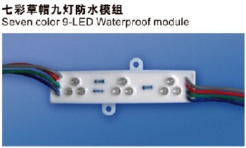 七彩草帽九灯防水模组