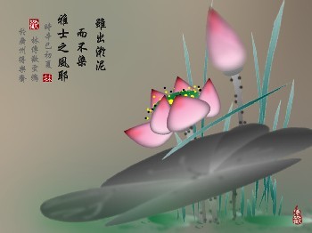 厂家直销白画布  优质白画布 白画布生产厂家