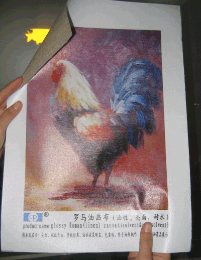 透明布.化纤油画布