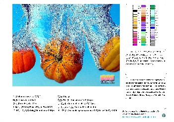 供应丝光绢布