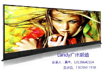 LANDYLD820GH超大液晶显示屏