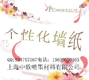 打印墙纸/墙纸打印/个性化墙纸/打印壁纸/壁纸打印