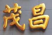 贴金字