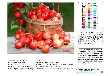 防水无纺纸