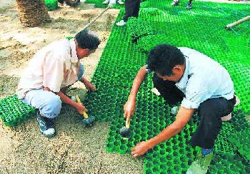 特供陕西塑料植草格、西安塑料植草格，厂价直销送货上门